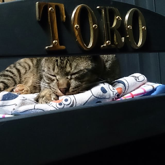 riroさんの実例写真