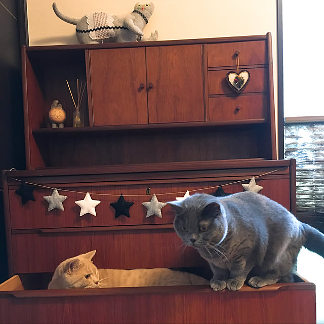 toyoさんの実例写真