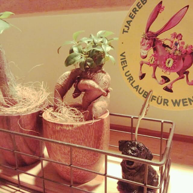 gurikoさんの実例写真