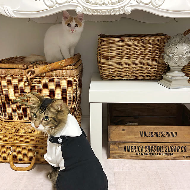 yuchiさんの実例写真