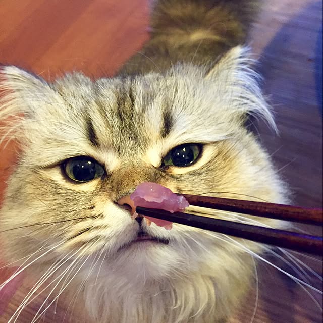 butachanさんの実例写真