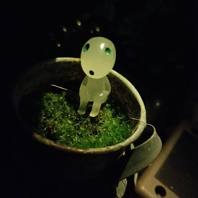 midoriさんの実例写真