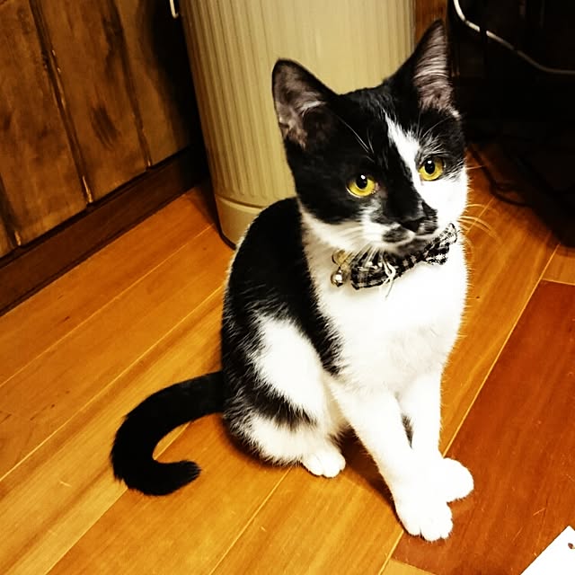 annさんの実例写真