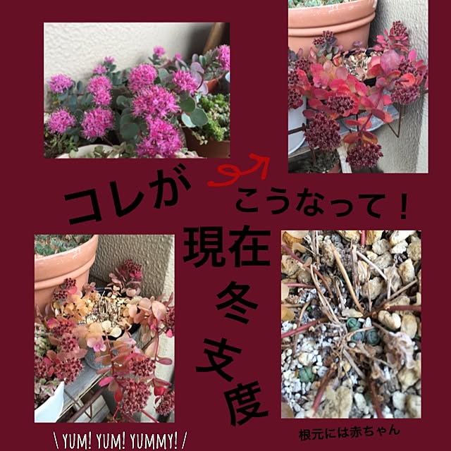 8717さんの実例写真