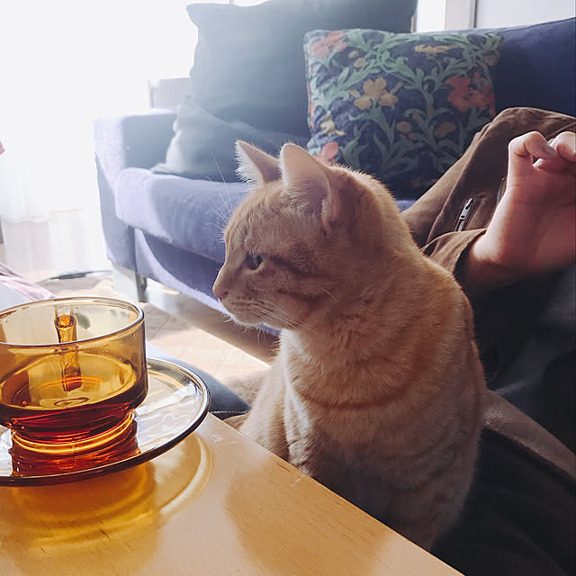 chicchiさんの実例写真