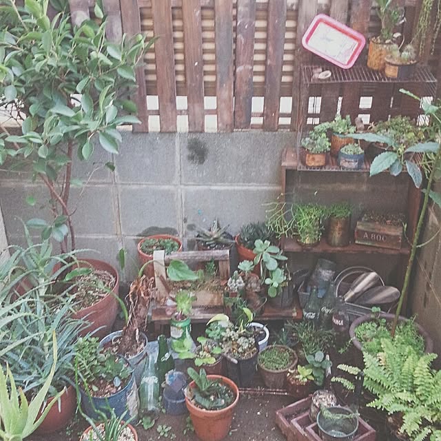 tsubuさんの実例写真