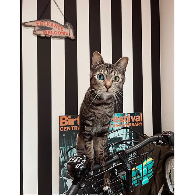 BTGさんの実例写真