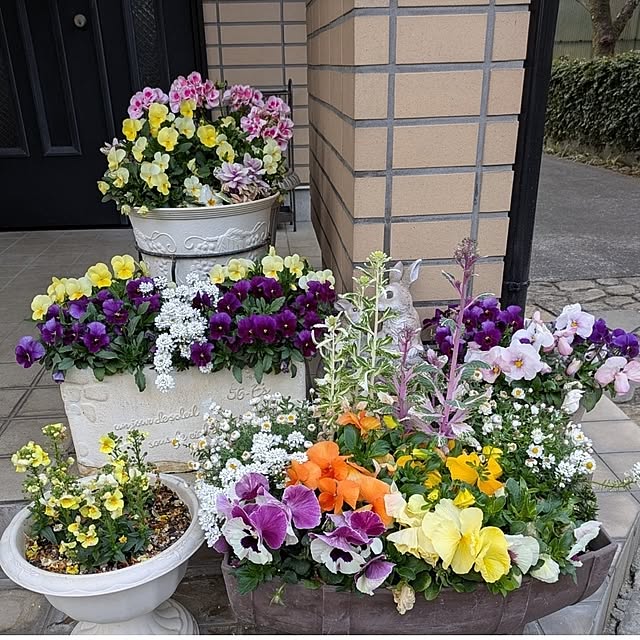 ku-garnet18さんの部屋