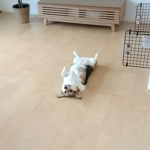 marutinoさんの実例写真