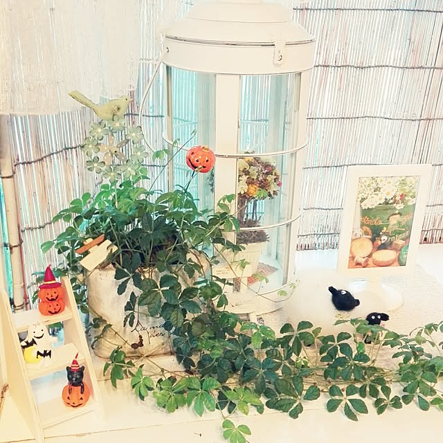 yukkieさんの実例写真