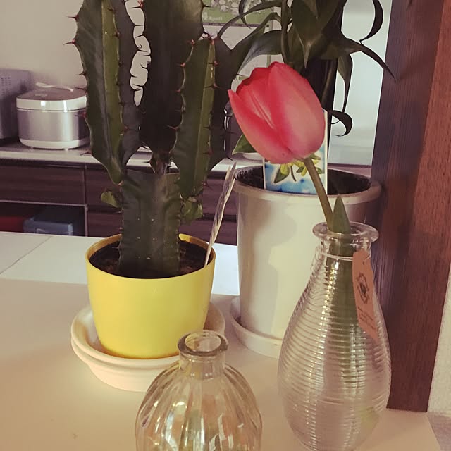 tanyuumoさんの実例写真