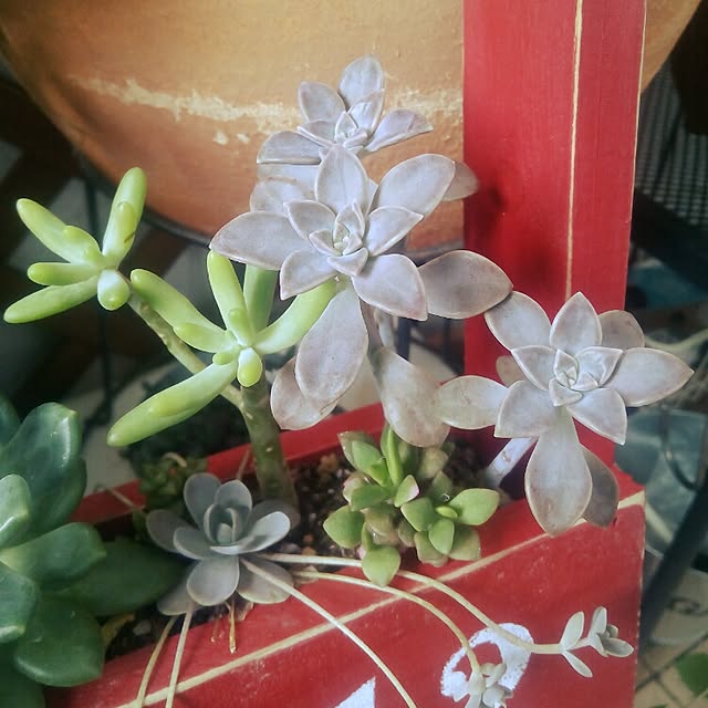 VERANDARJUNさんの実例写真