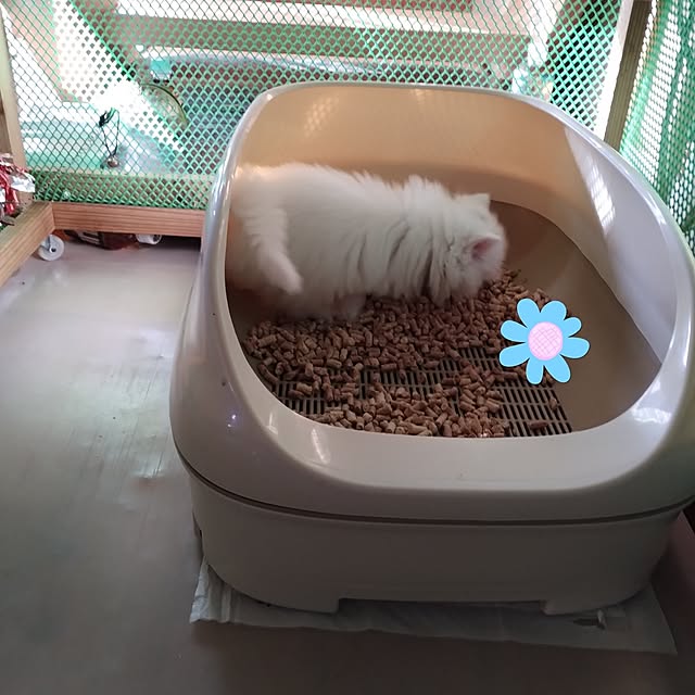 makaronさんの実例写真