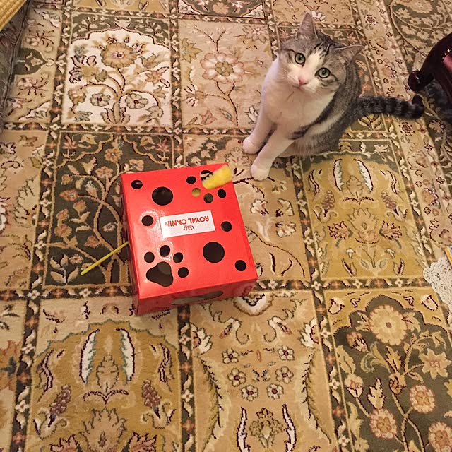 emmyyさんの実例写真