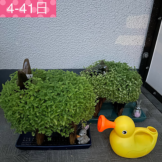 aureaさんの実例写真