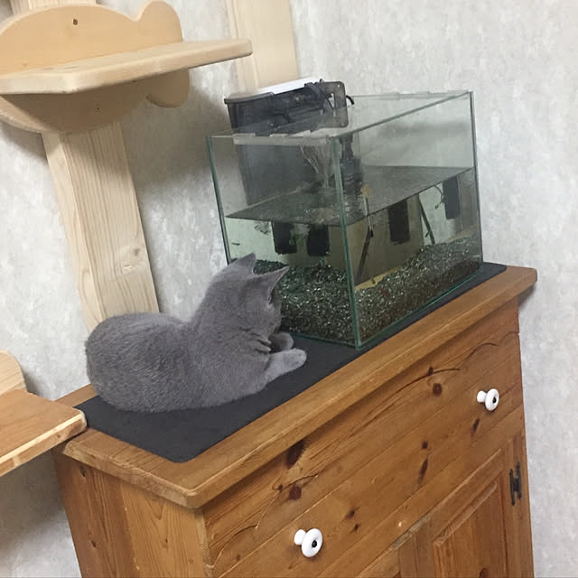 masaさんの実例写真