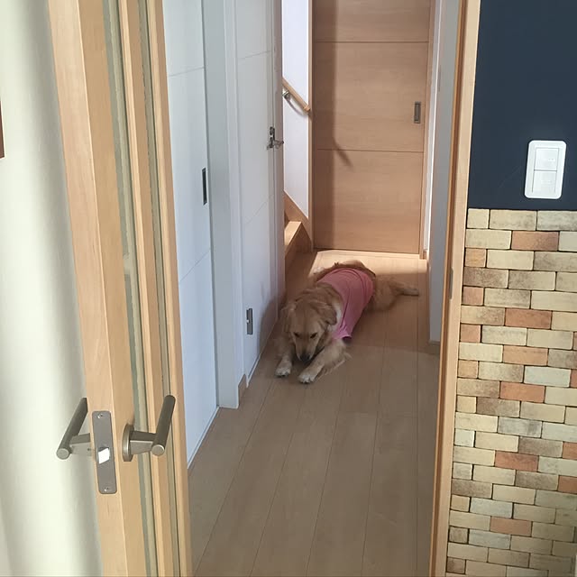 Kazueさんの実例写真
