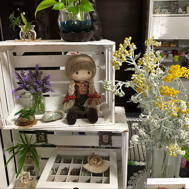 実例写真