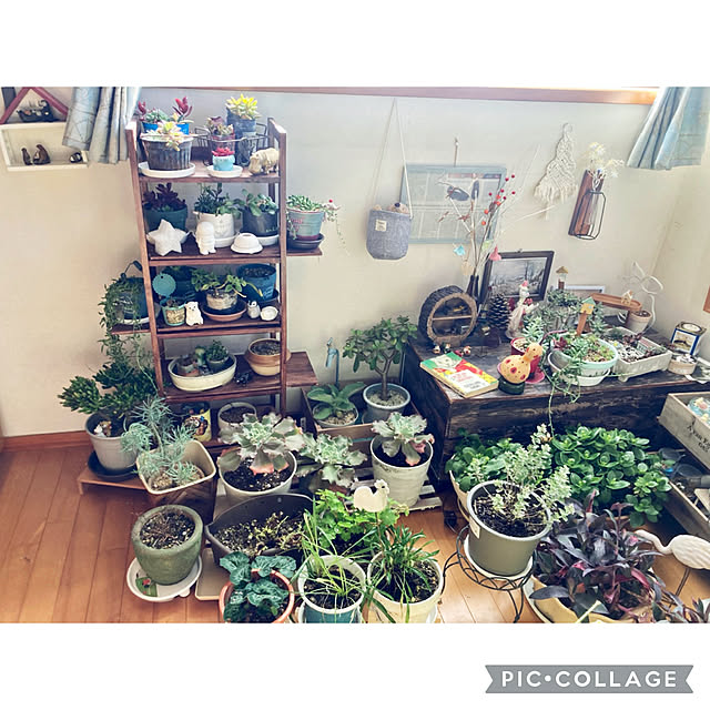 CoCo0617さんの実例写真