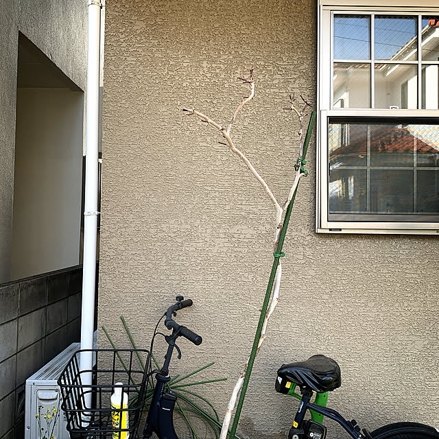 eshinobumさんの部屋