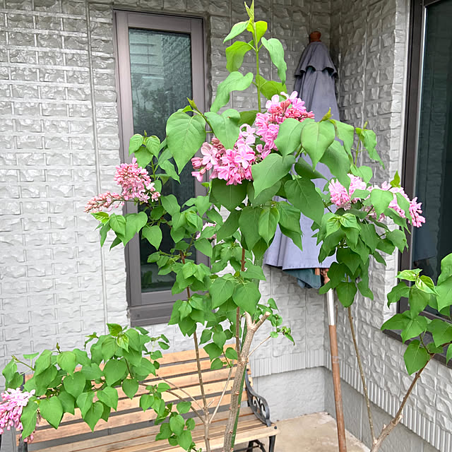 cocoさんの部屋