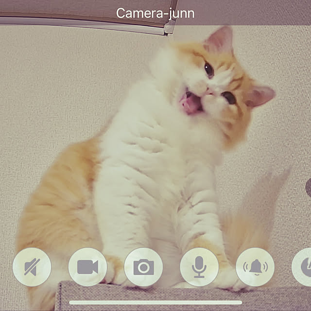 junさんの実例写真