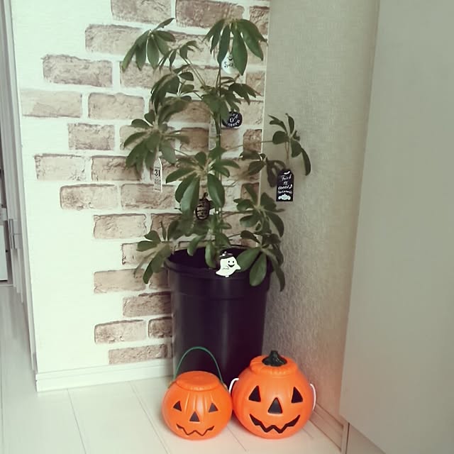 mintさんの実例写真