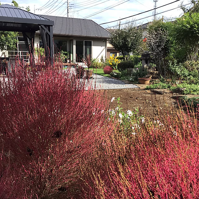 houenさんの部屋