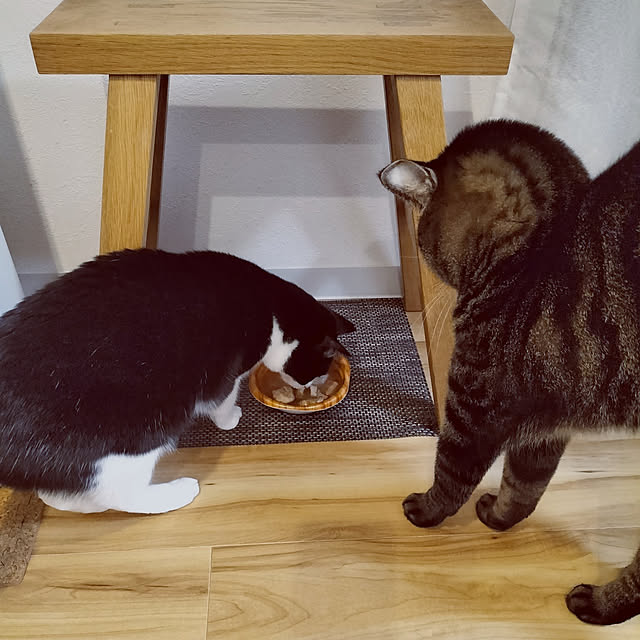 hihaさんの実例写真