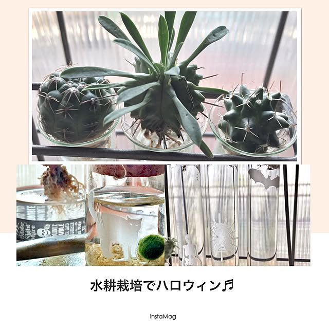 kazaruyo-niさんの実例写真