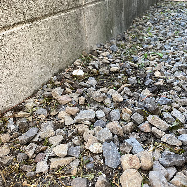 alchoさんの部屋