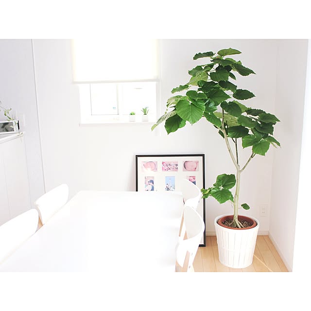 a.pigeさんの実例写真