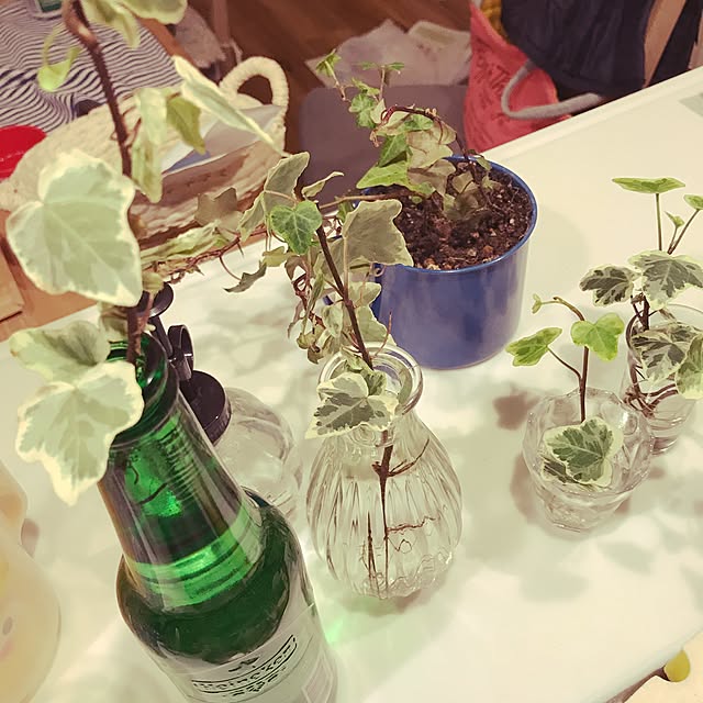 usapippiさんの実例写真