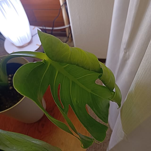hisaさんの部屋