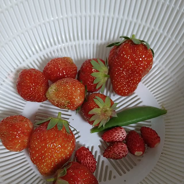 ameamekaasanさんの部屋