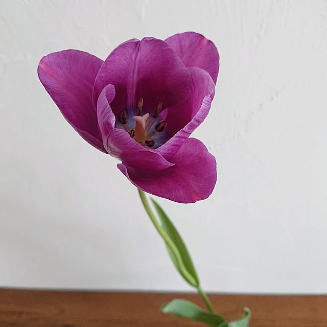 Mi-koさんの部屋