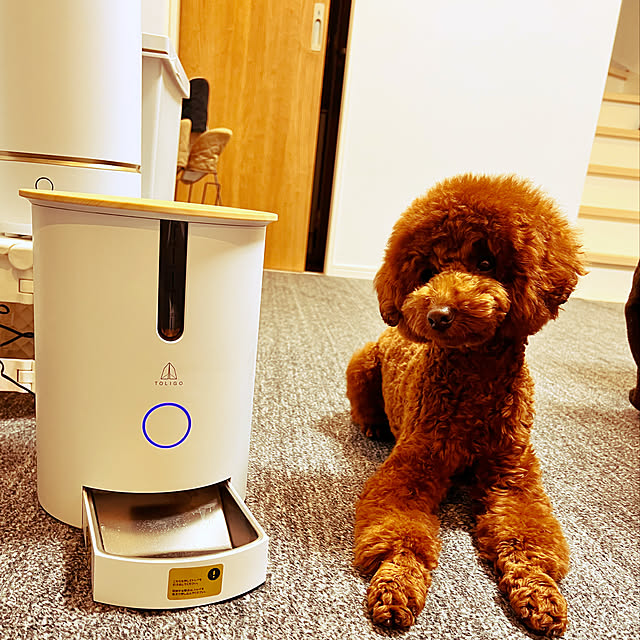nanさんの実例写真
