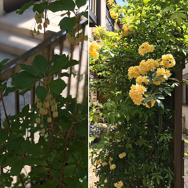 masakoさんの実例写真