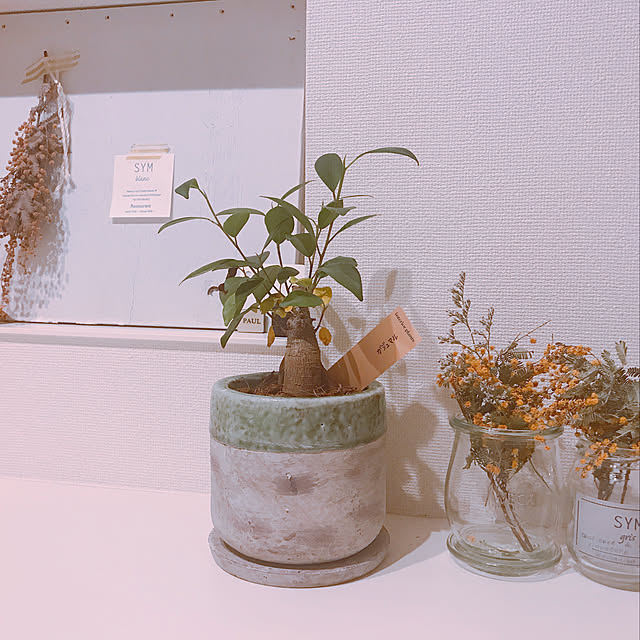 玄関/入り口/観葉植物/ナチュラル/北欧/雑貨...などのインテリア実例 - 2018-06-04 22:23:37