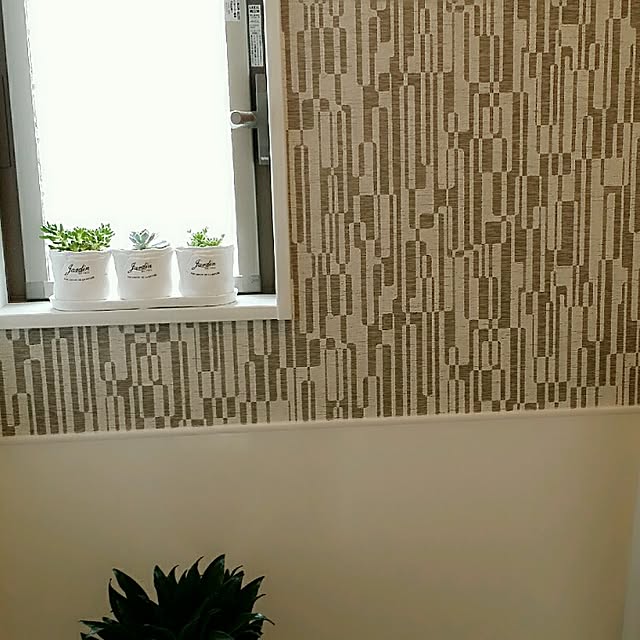 midoriさんの実例写真