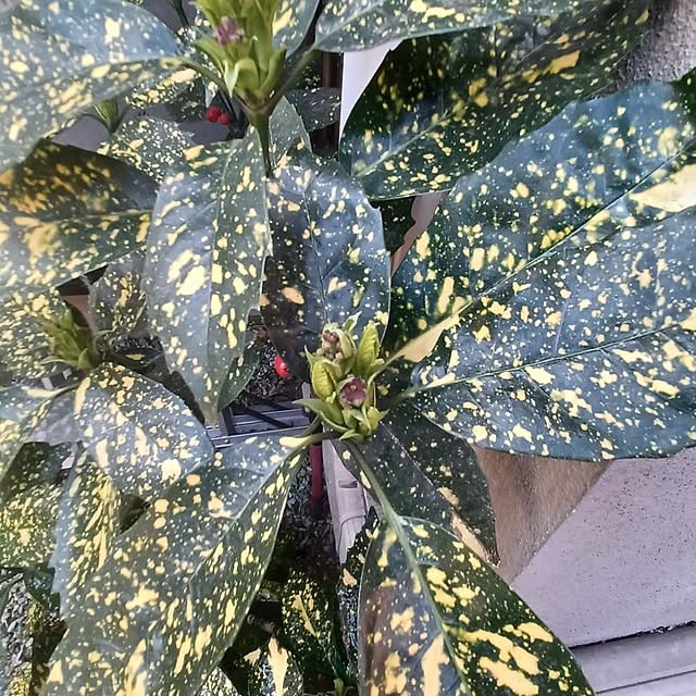 hiro.904さんの部屋