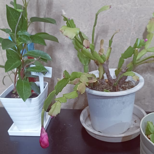 hiro.904さんの部屋