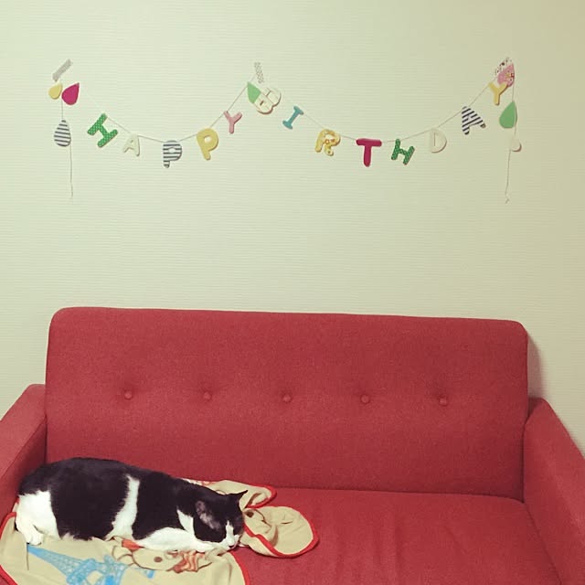 mie06ladyさんの実例写真