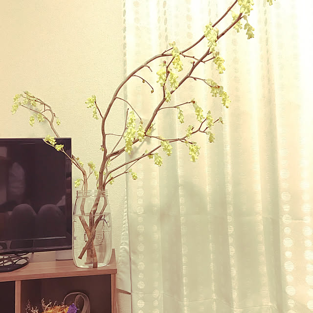 doracchiさんの実例写真