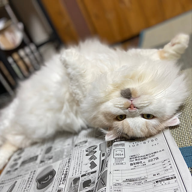 keibooさんの実例写真