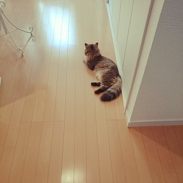 hanaさんの実例写真