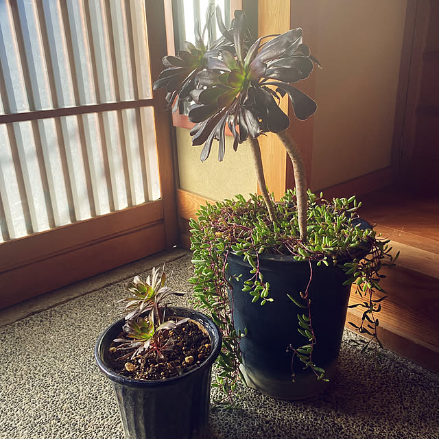 maroさんの実例写真