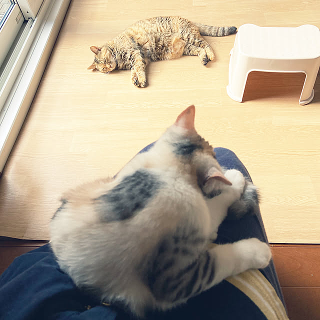 hansho.sさんの実例写真