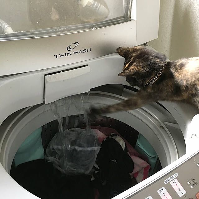 nerogaraginさんの実例写真