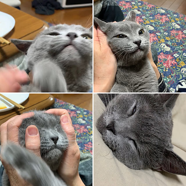 masaさんの実例写真
